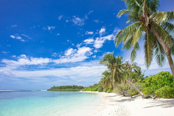 Découvrez le bateau bellona : un restaurant inédit et espace d'événements