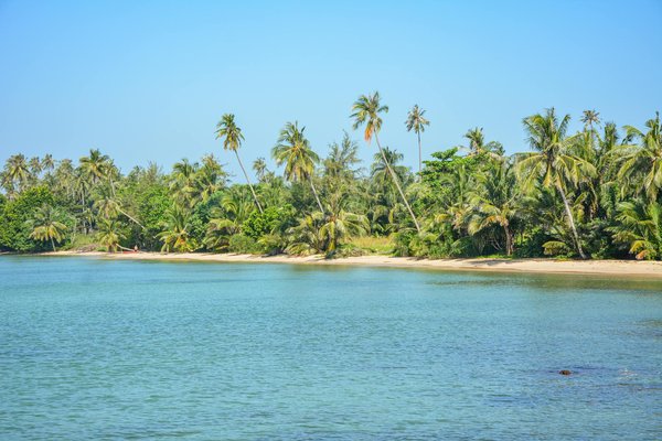 Comment choisir un bon emplacement pour camper près d'un ruisseau tout en évitant les risques d'inondation ?